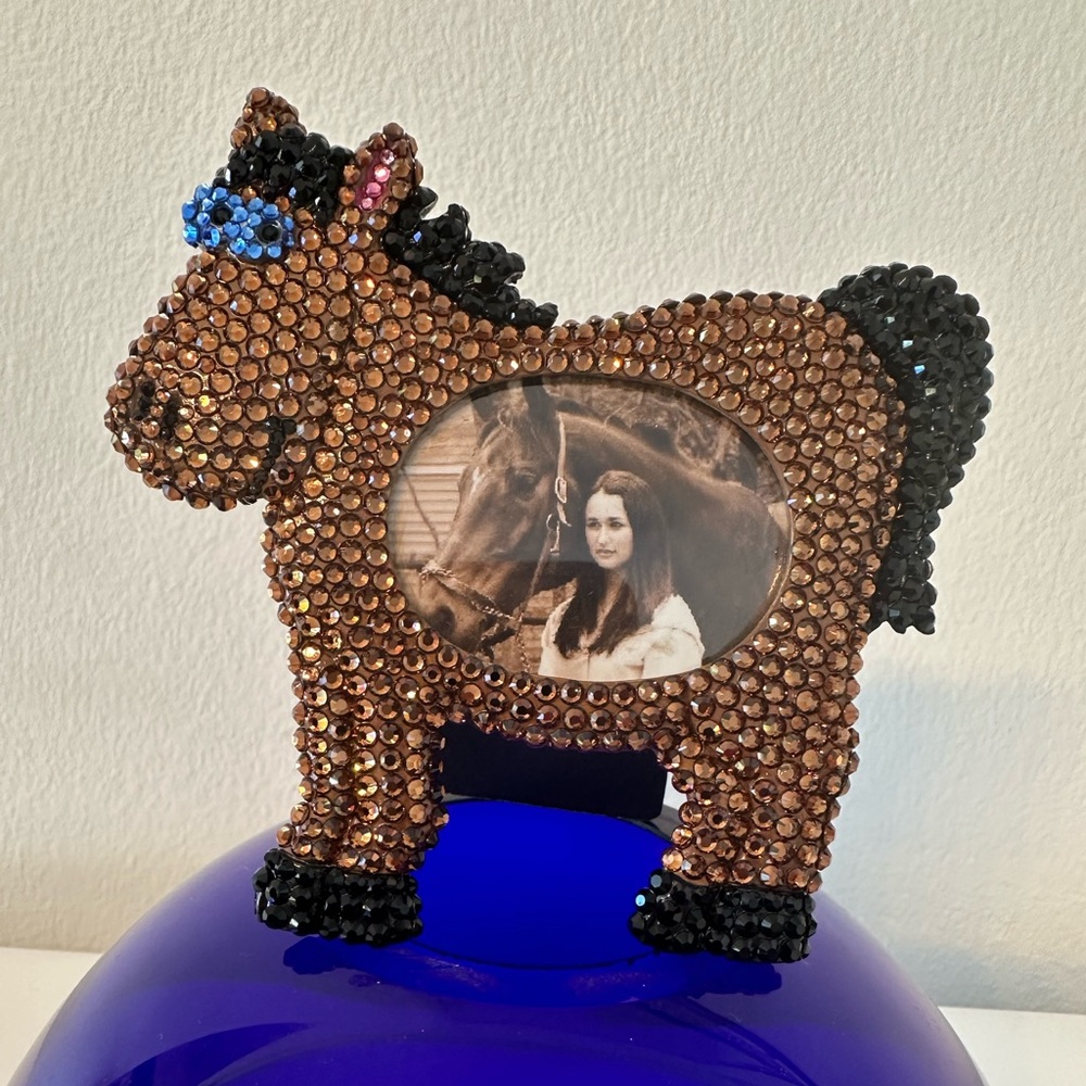 Spirit animal horse equestrian Swarovski crystal picture frame nursery farm